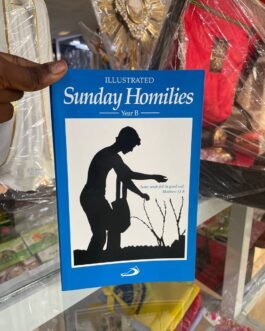 Illustrated Sunday Homilies Year B