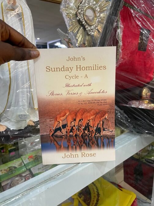 John's Sunday Homilies
